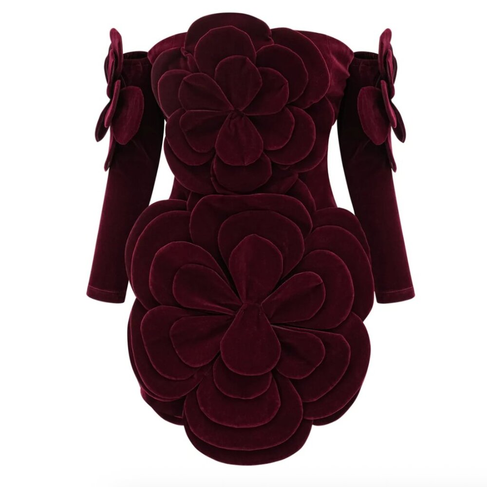 Azura Red Floral Appliqué Mini Dress Medium